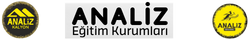 analiz egitim kurumları